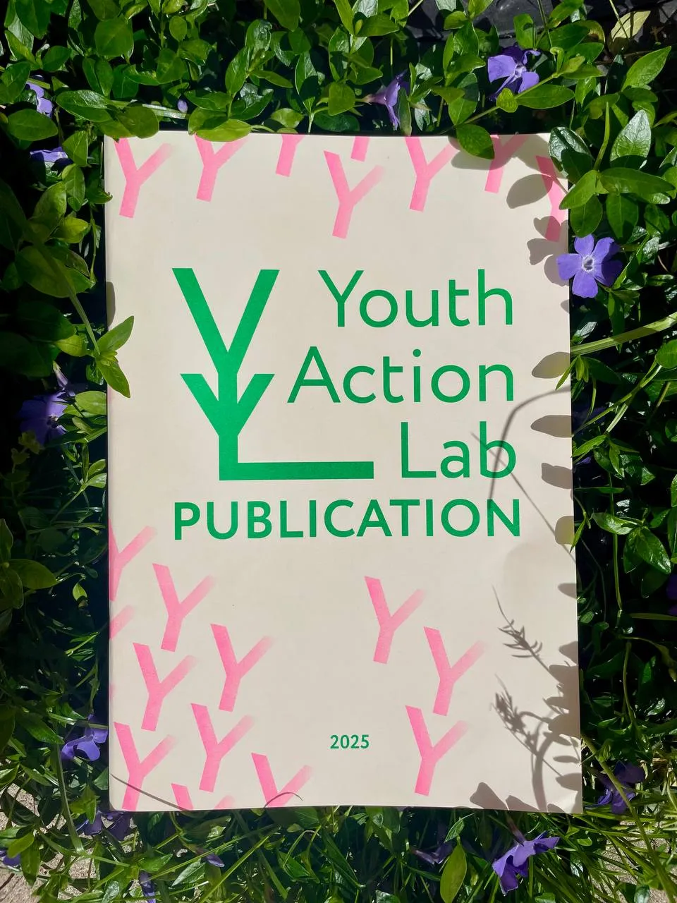 YAL publication