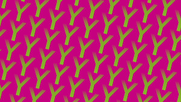banner_YARC