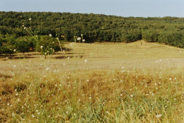 Moldova YAL
